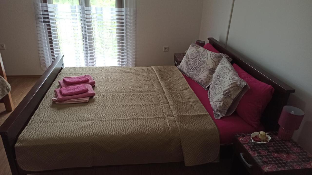 Village House - Novak Rijecani Rijeka Crnojevića エクステリア 写真