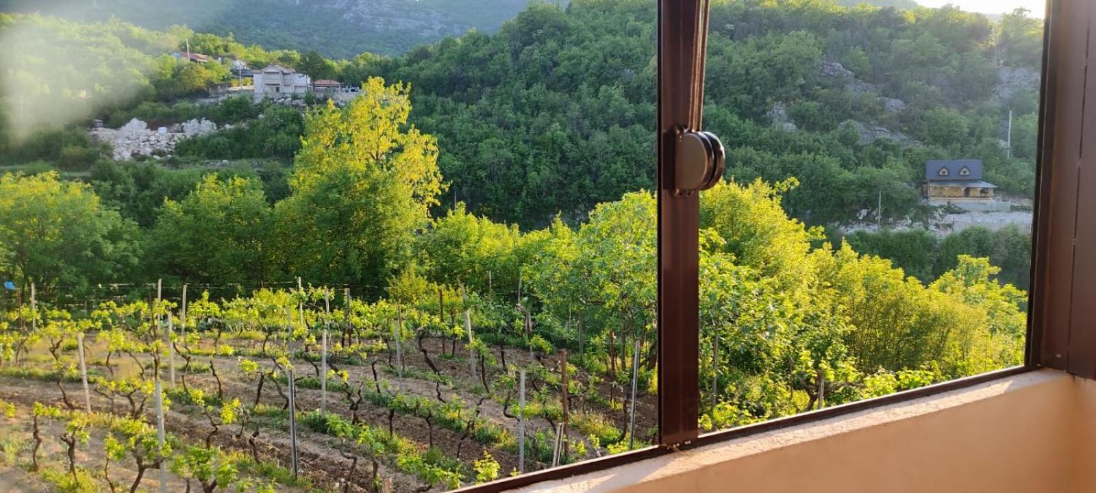 Village House - Novak Rijecani Rijeka Crnojevića エクステリア 写真